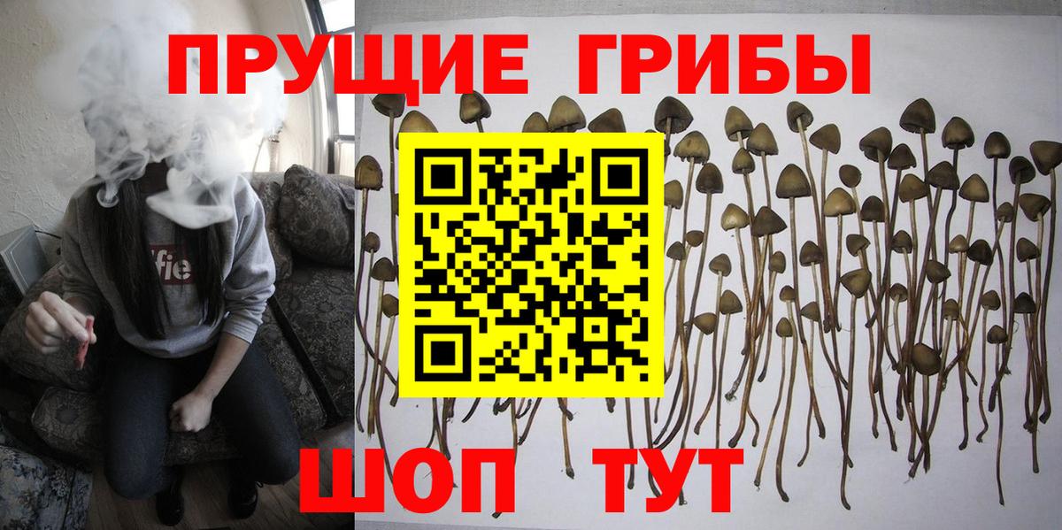 Галлюциногенные грибы мицелий Советский